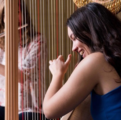 Chamber Music Harp